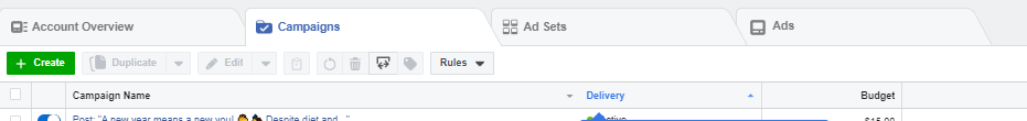 Facebook ads guide