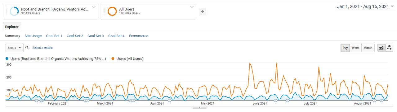 view custom segment in google analytics