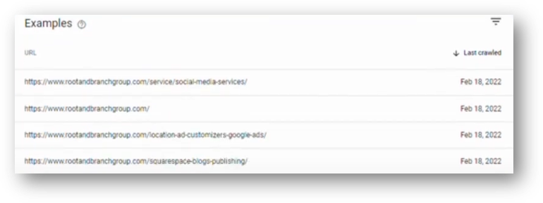 URL examples page in google search console