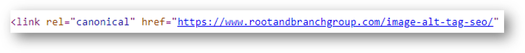 canonical tag example