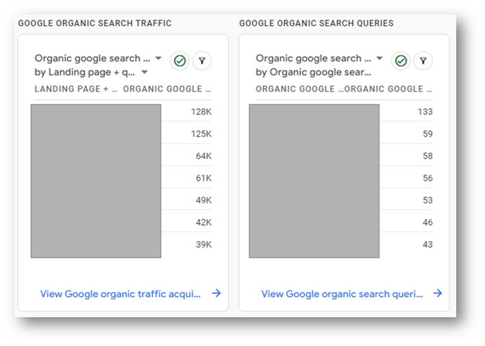 google analytics search terms